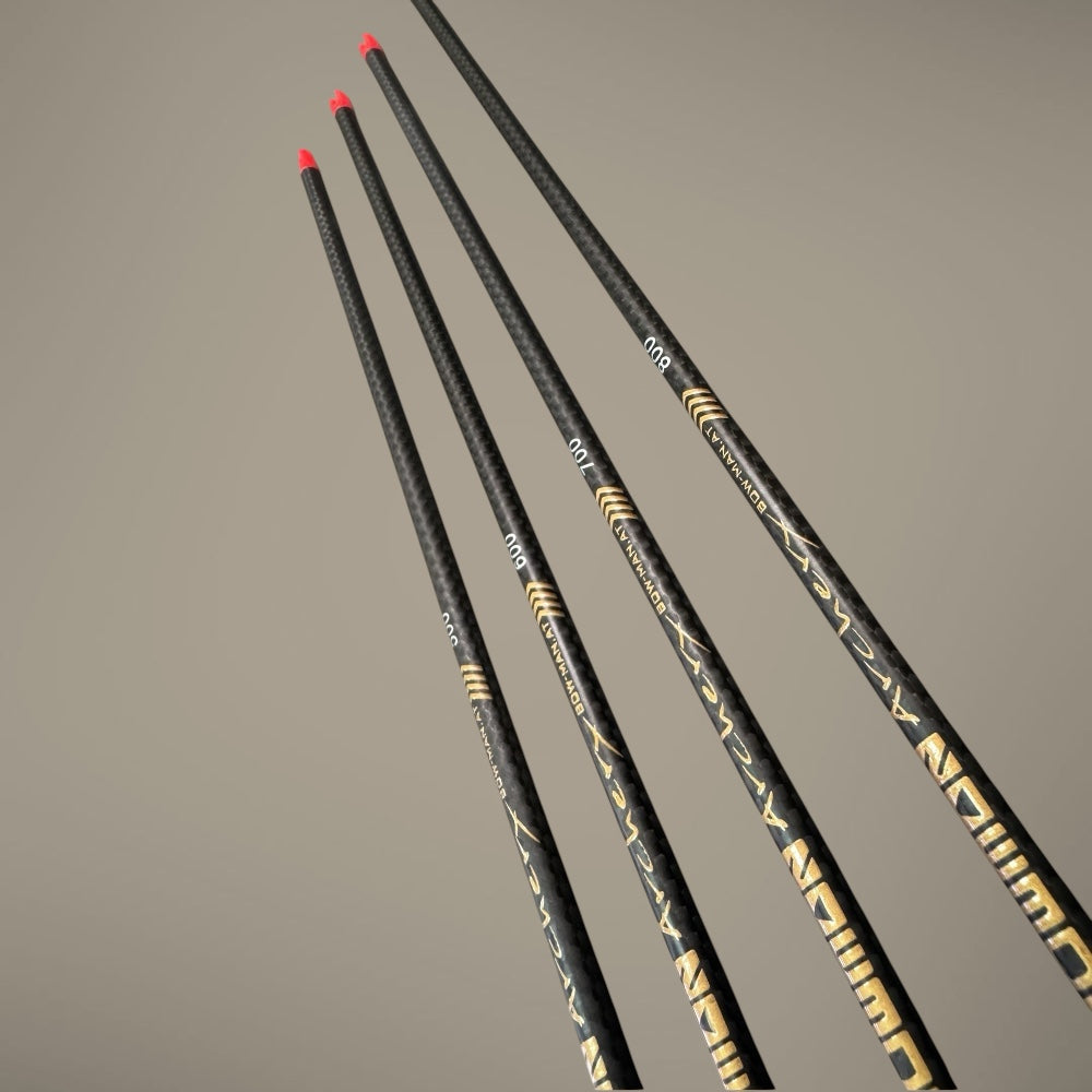 X-MAS Bogenset - Hybrid 2