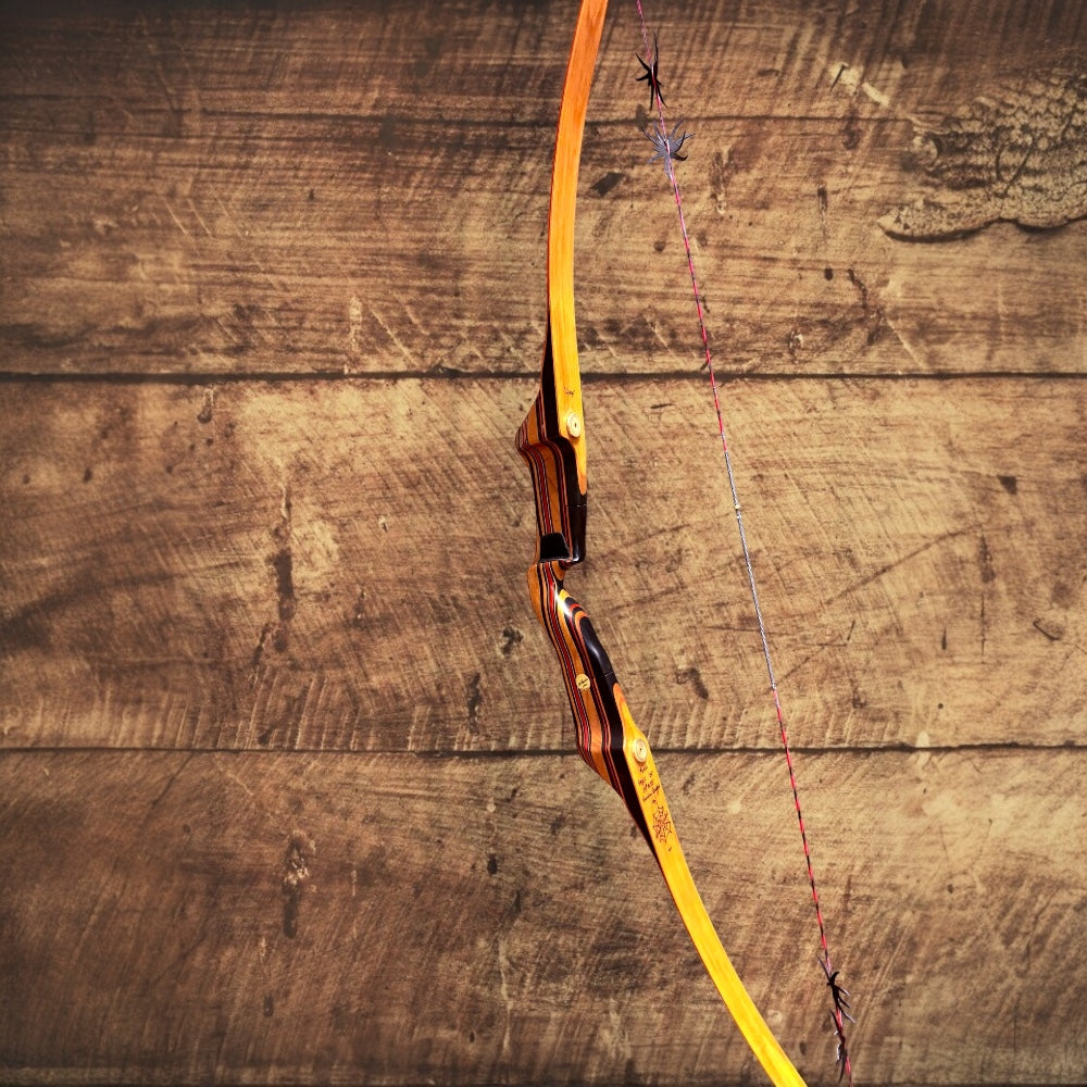 Bogen - Black Widow PMAX 64“ GEBRAUCHT; BJ 2025