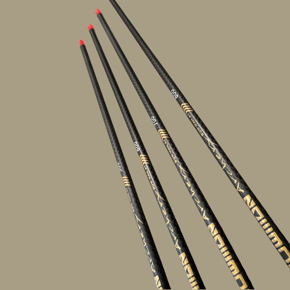 Bowman Bogensport