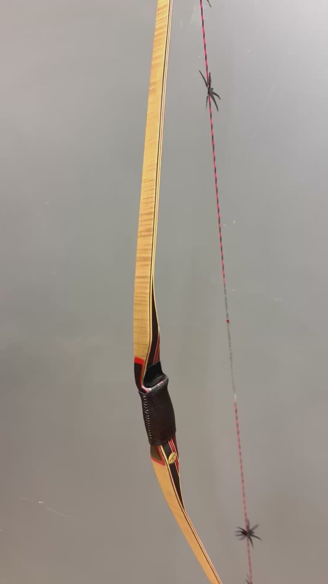 Video laden: Bogen - Black Widow PLX 66"